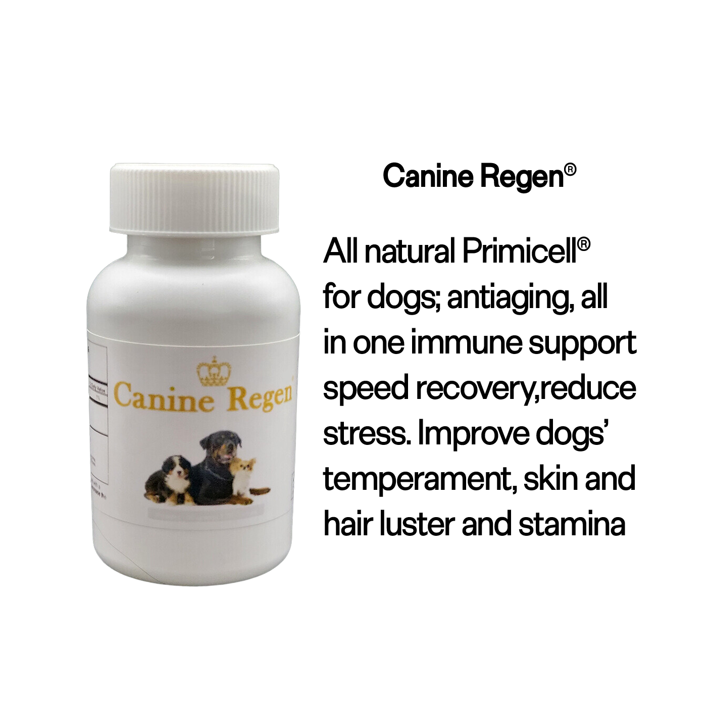 natural supplement for dogs - immune support help speed recovery, reduce stress.